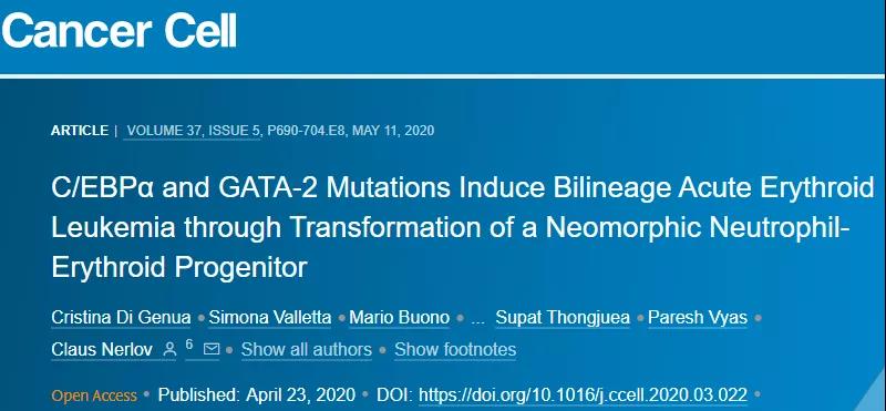 赛业生物基因编辑小鼠助力肿瘤研究