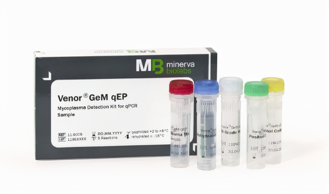 细胞培养之支原体检测方法~支原体检测qPCR