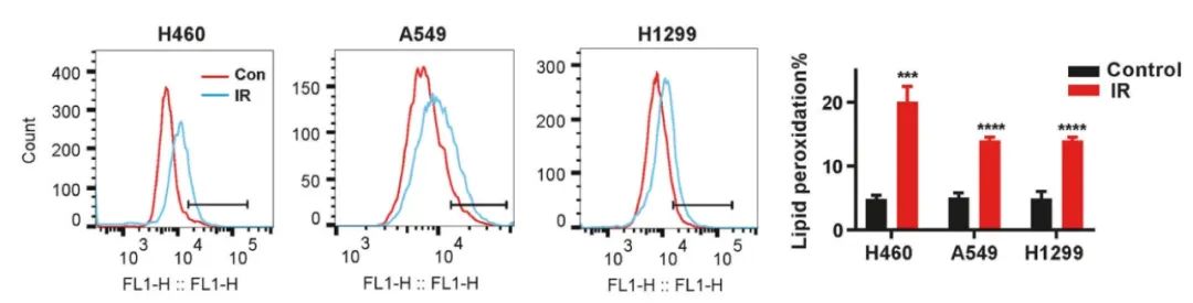 细胞实验中的对照给药