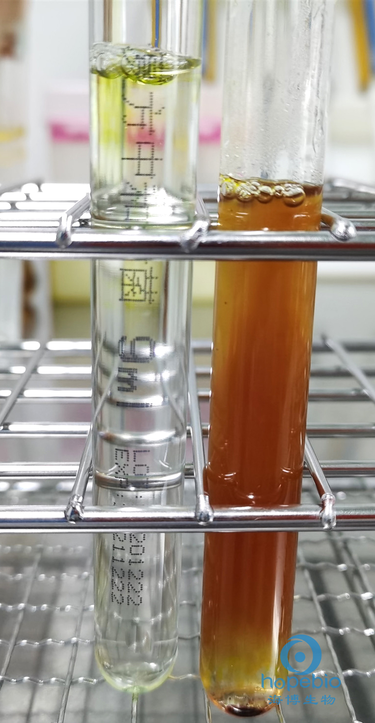 关于中和剂中和效果试验方法解析