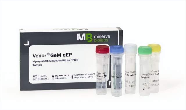 怎样快速检测细胞培养中的支原体污染