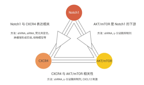 新闻图片3