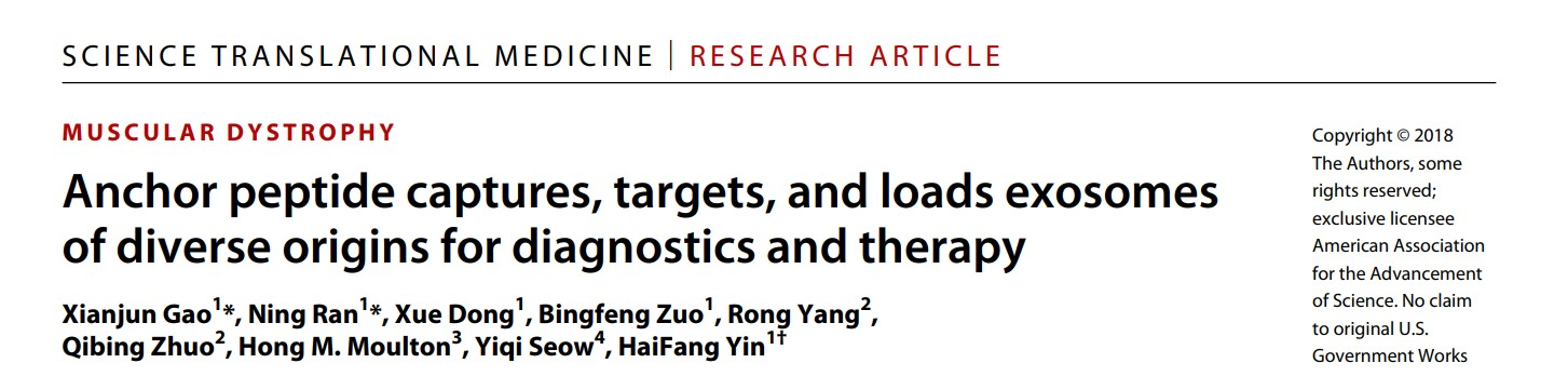 一文带你了解如何实现锚肽捕获、靶向和装载各种来源的外泌体