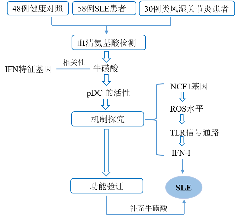 方法速递 | 免疫治疗中的重要一环--氨基酸代谢