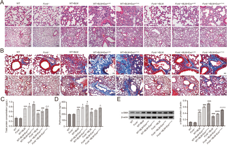 外泌体技术服务