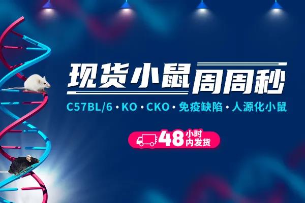 Cre-loxP重组系统