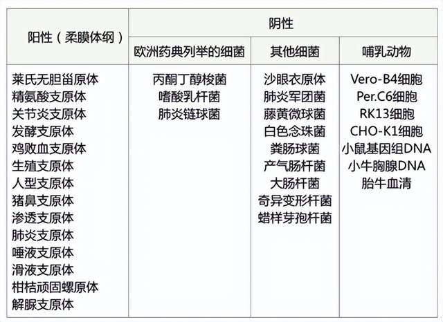带您了解常规PCR Kit （一步法）