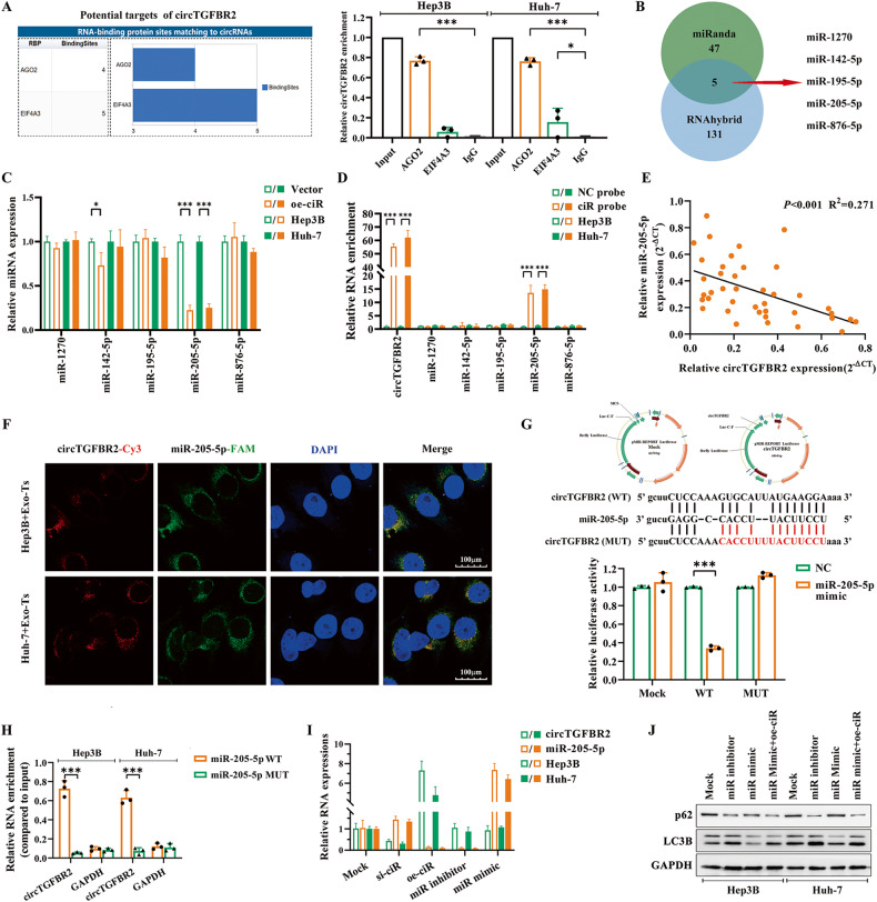 外泌体和细胞自噬