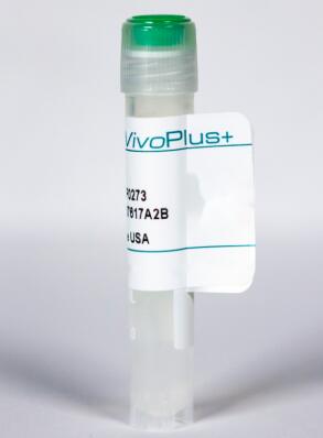 艾美捷InVivoPlus小鼠PD-1抗体 (CD279)解决方案 艾美捷InVivoPlus小鼠PD-1抗体 (CD279)解决方案