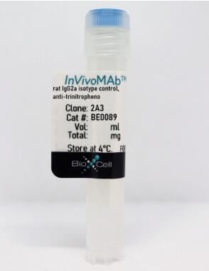 InVivoMAb大鼠IgG2a同种型对照，抗三硝J苯F正在促销