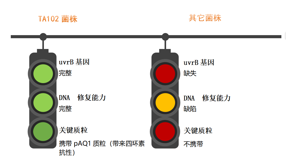低变 3.png 低变 3.png