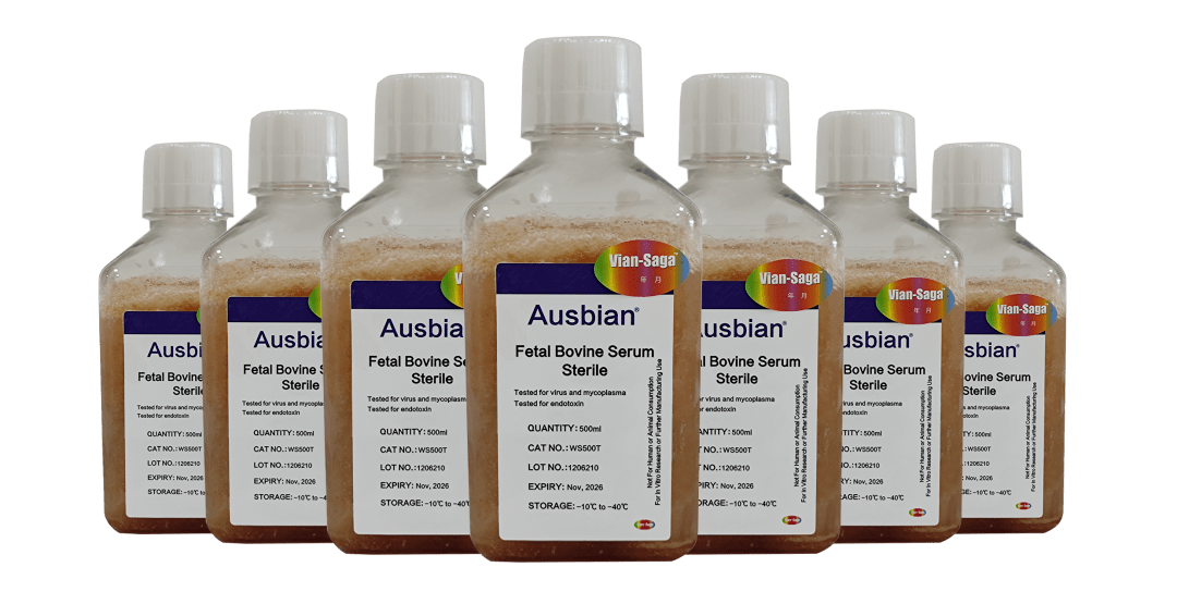 干货分享：细胞转染全攻略（上）