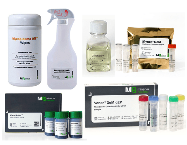 「细胞支原体污染」的综合治理方案