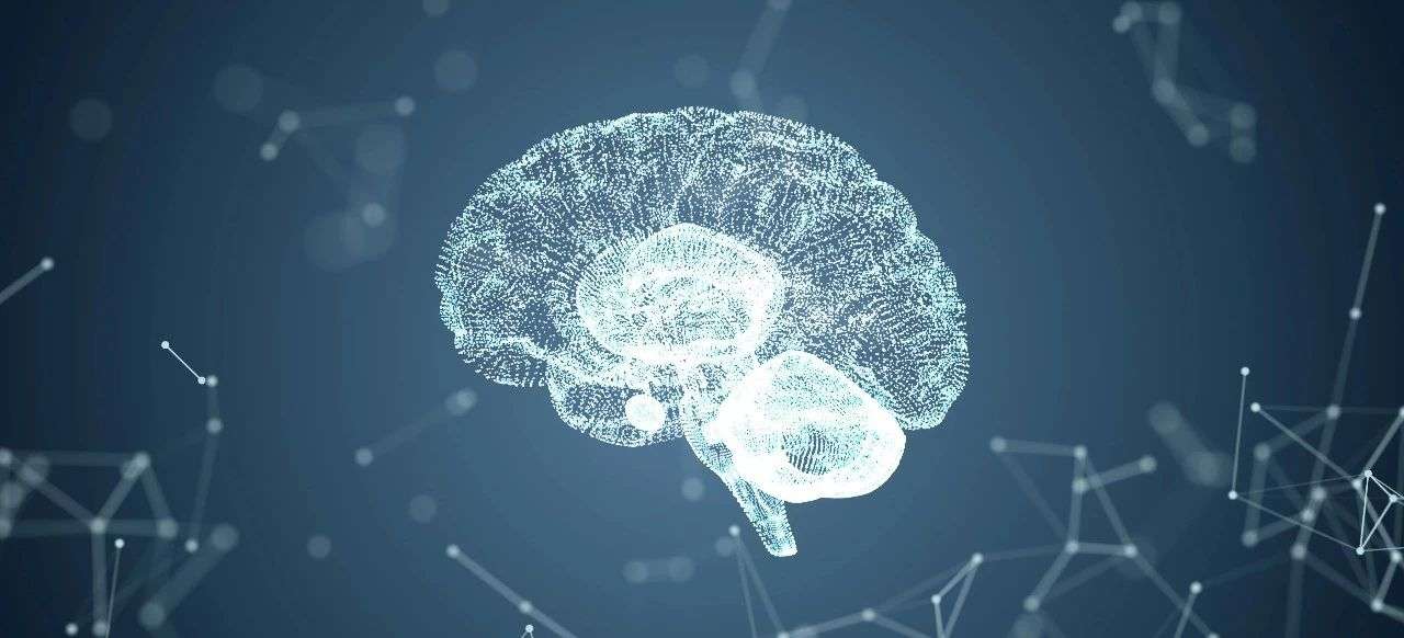 改写教科书：利用基因修饰小鼠发现第四层脑膜SLYM！