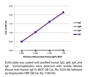 小鼠抗人IgE Fc端二抗研究方案 小鼠抗人IgE Fc端二抗研究方案