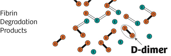 D-二聚体ELISA试剂盒解决方案助力D-二聚体研究