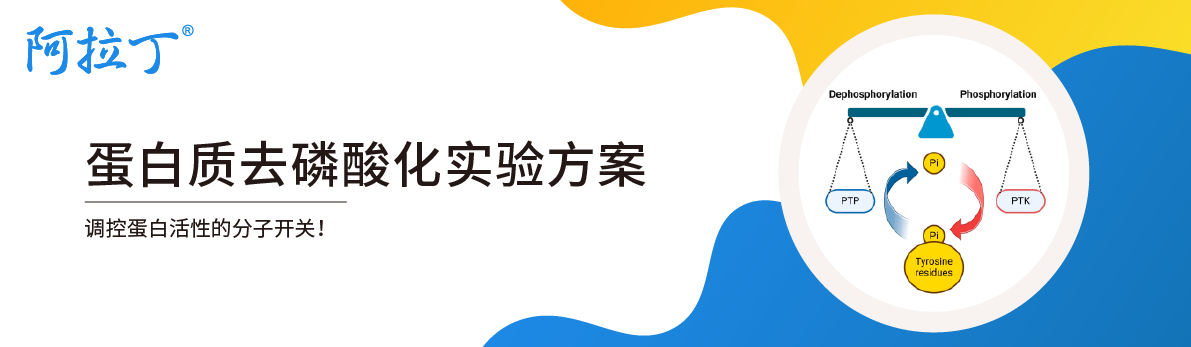 【阿拉丁】蛋白质去磷酸化实验方案