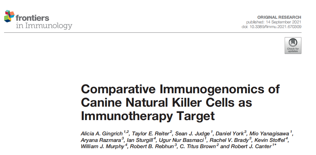 单细胞测序应用：NK细胞作为免疫细胞治疗靶点