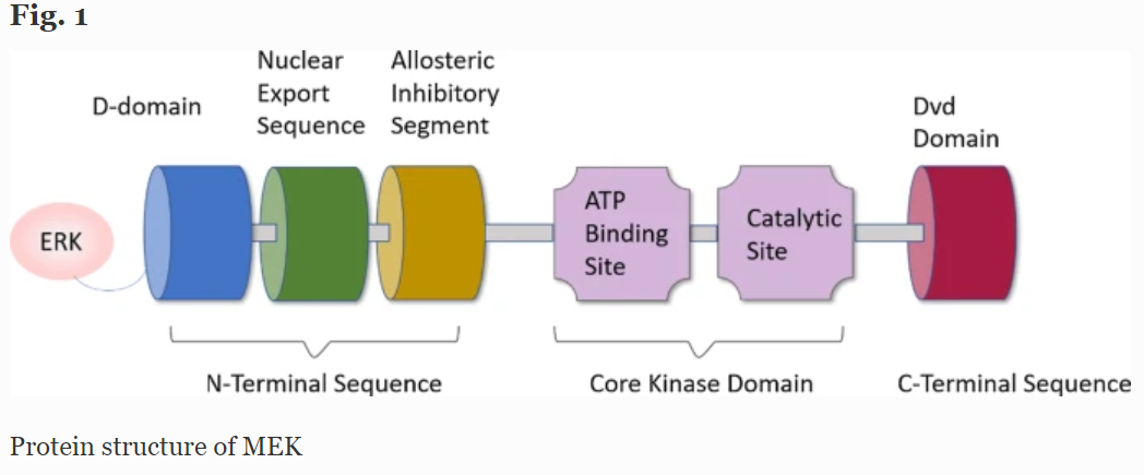 激动剂抑制剂全推荐——MEK 抑制剂