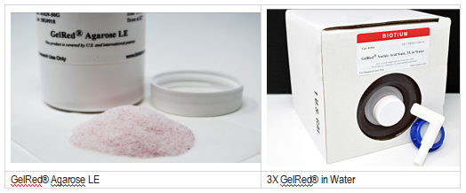 GelRed and GelGreen凝胶电泳染料:更高的便利性和安全性 GelRed and GelGreen凝胶电泳染料:更高的便利性和安全性