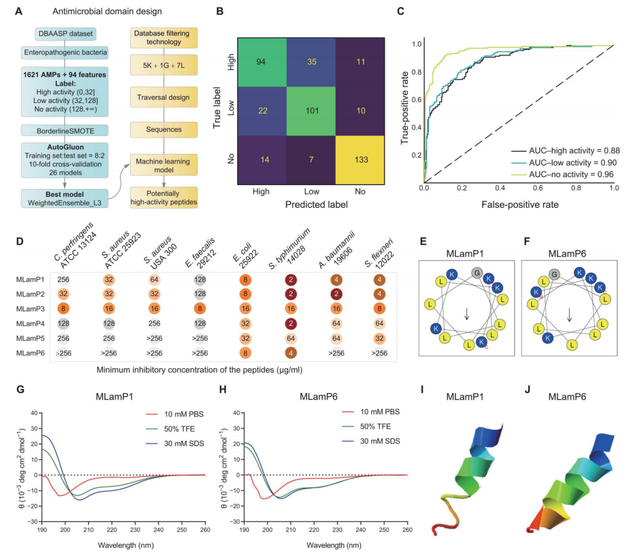 Science子刊：肠道靶向纳米颗粒可针对产气荚膜梭菌感染提供特异性靶向抗菌肽