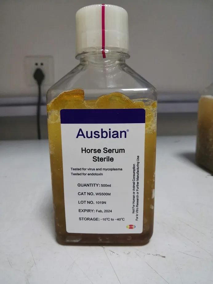 细胞培养中“低调的高手”——马血清