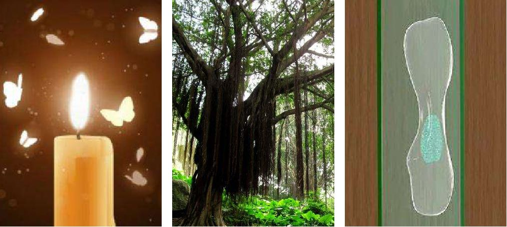 干货 | 常用细胞刺激方法汇总