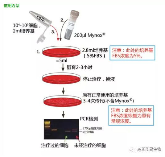 支原体污染一键清空的方法在这里！