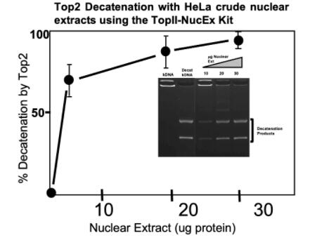 TopoGEN拓扑异构酶IIa核提取/检测试剂盒促销中