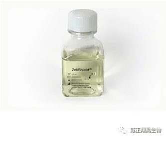 如何识别和预防常见的细胞污染？