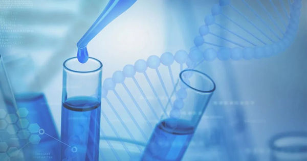 非接触超声波DNA打断仪Plus系列新品 | 全新超声破碎技术