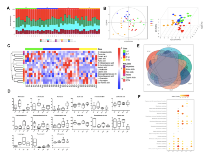 客户案例 | 粪菌移植影响肥胖大鼠对2型糖尿病的易感性