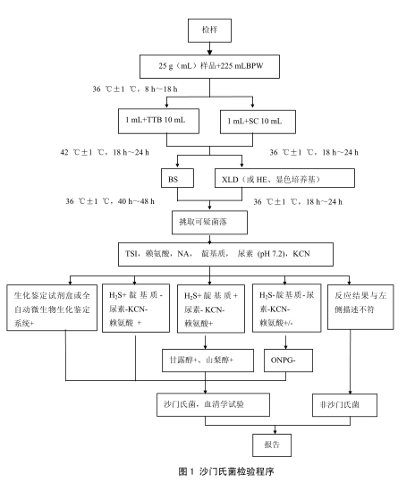 沙门氏菌常用培养基的配方及原理