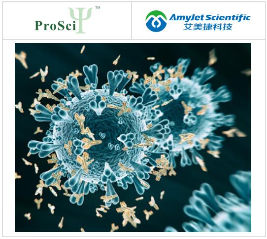 艾美捷ProSci丨ProSci小分子半抗原抗体解决方案