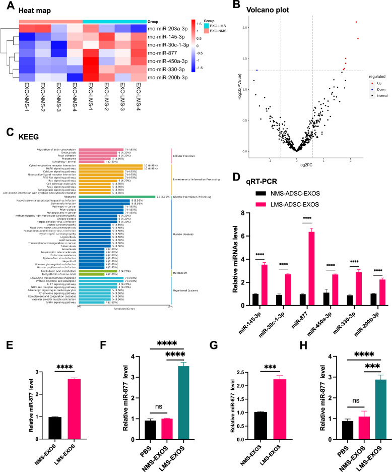 外泌体技术服务 外泌体技术服务