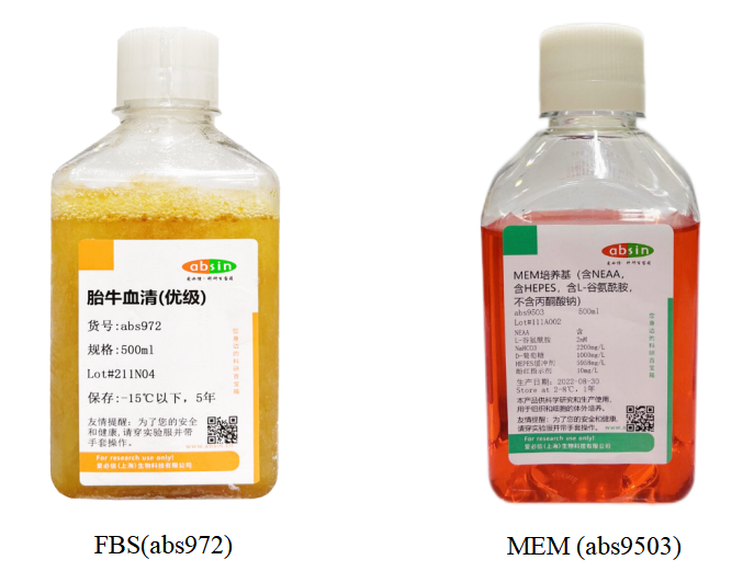 Caco-2细胞培养攻略