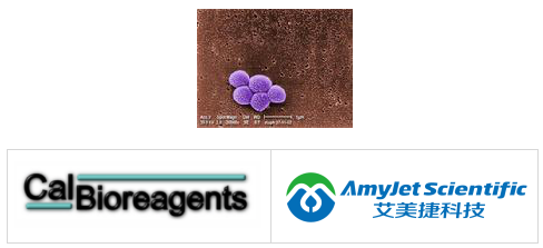 CalBioreagents丨艾美捷CalBioreagents DINONA单克隆抗体的相关案例