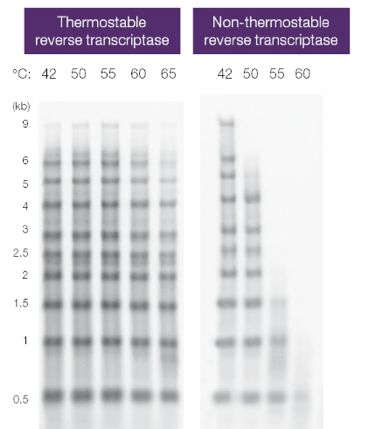 1697678313381017.jpg 11.jpg