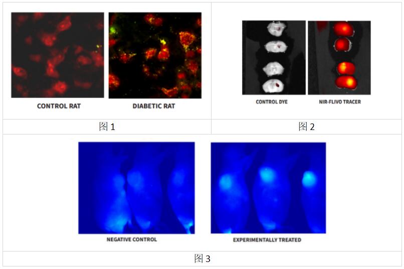 艾美捷FLIVO探针活体凋亡检测解决方案