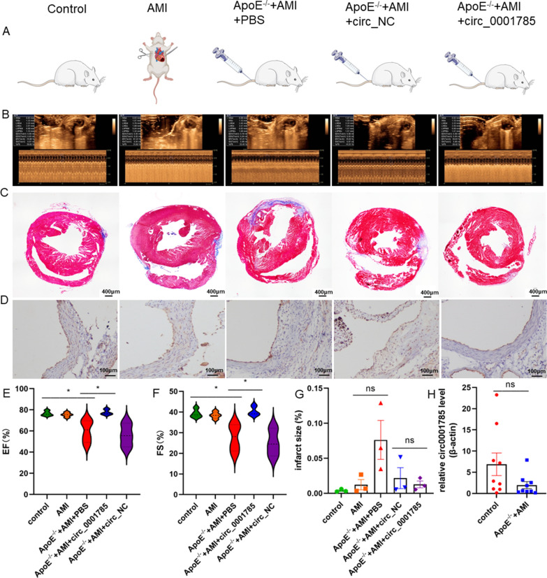 外泌体技术服务
