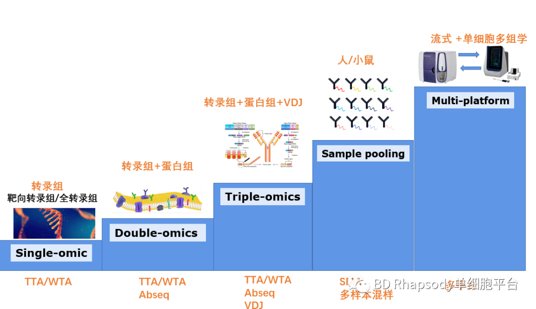 单细胞技术助力深入细胞研究培训线上圆满结束，线下体验等你来