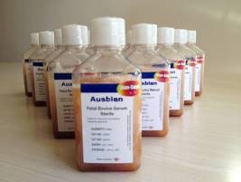 胎牛血清、小牛血清、新生牛血清之间的区别，保存及用法 