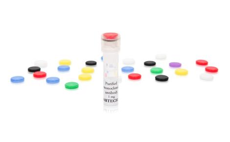 艾美捷抗人干扰素α单抗(MT1),灵敏且高特异性 艾美捷抗人干扰素α单抗(MT1),灵敏且高特异性