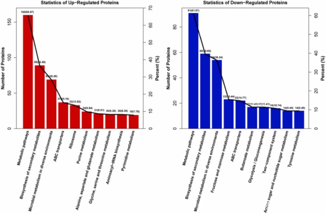 【客户文献解读】基于iTRAQ定量蛋白质组学揭示了沙雷氏菌CM01的蛋白质组学变化及Cr(Ⅵ)抗性机制
