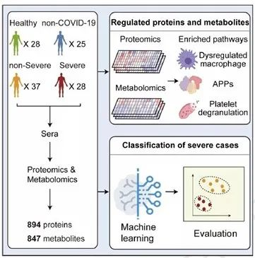 和疫情赛跑，质谱战“疫”在行动