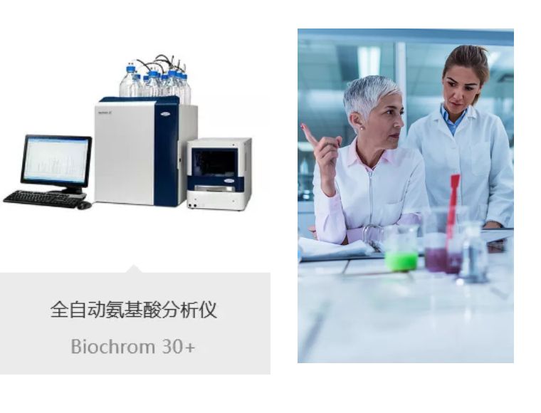新闻图片10