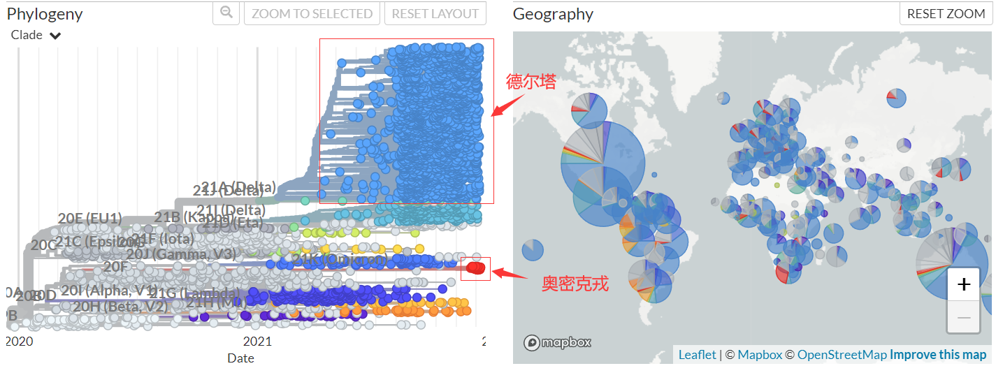 Omicron之后，COVID 病毒进化的下一步是什么？