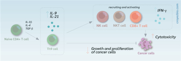 Croyez艾美捷GMP IL-1β解决方案及相关研究