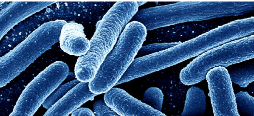 新开发的化合物可以帮助抗药性超级细菌吗