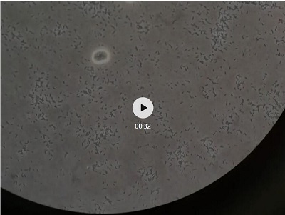 识破各种污染，拯救您的细胞